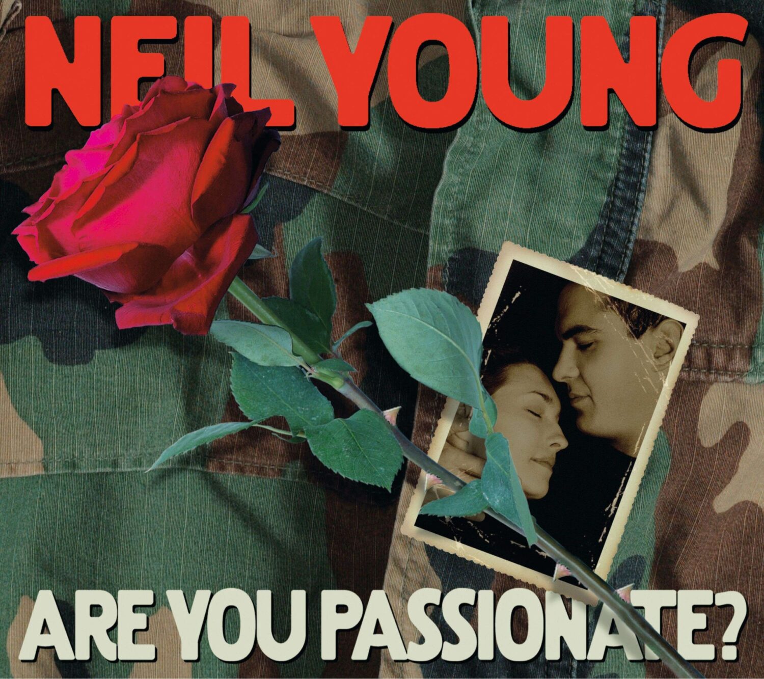 Are you passionate ?