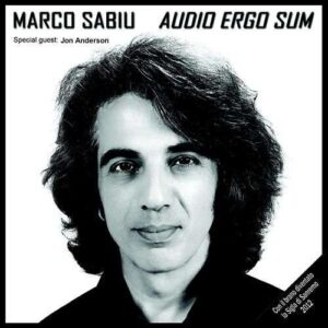 Audio ergo sum
