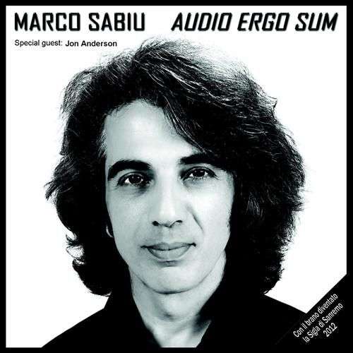 Audio ergo sum