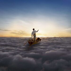 The endless river (2LP)