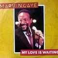 My love is waiting