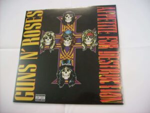 Appetite for destruction (RE)