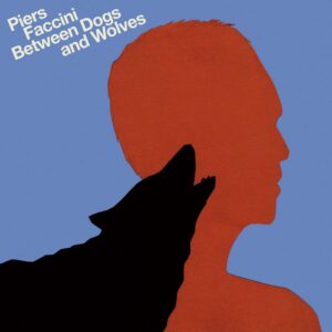 Between dogs and wolves