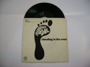 Standing in the road / Celestial plain