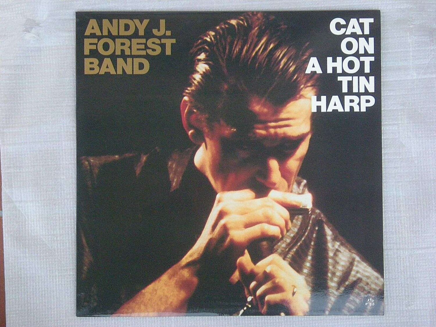 Cat on a hot tin harp