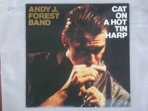 Cat on a hot tin harp