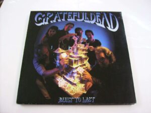 Built to last (w/innersleeve)