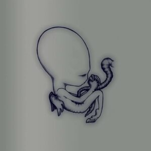 Agaetis byryun (4CD BOXSET)