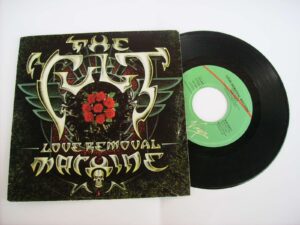 Love removal machine / Wolf child's blues