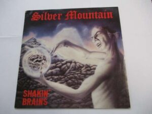 Shakin'brains