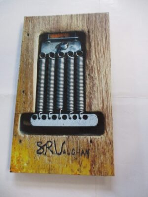 S.R.V. (3CD+DVD)
