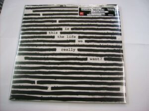 Is this the life we really want? (2LP)