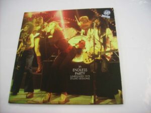 Endless party (2LP) (RE)