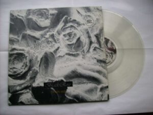The room inside (Clear vinyl)