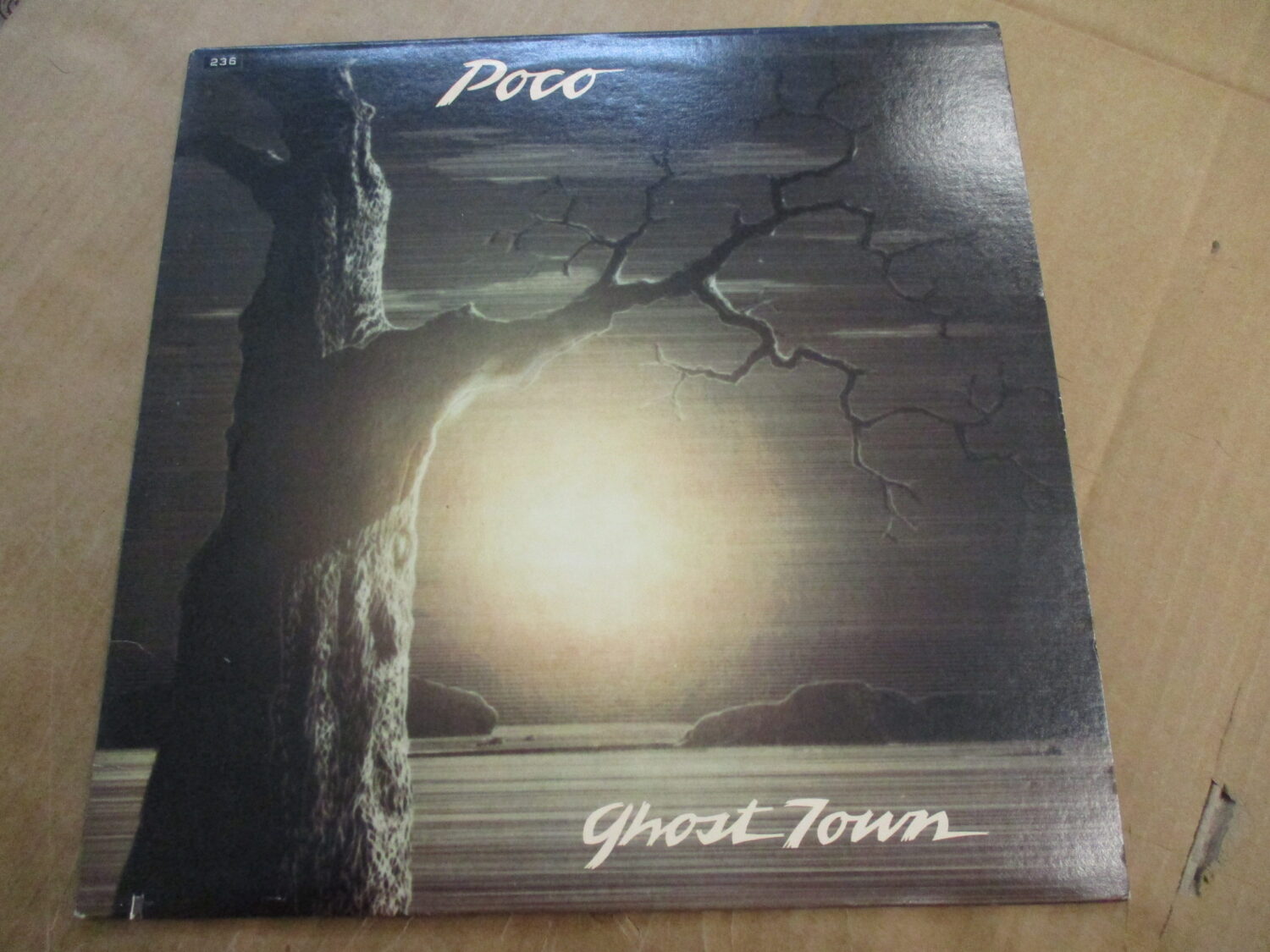 Ghost town (cut-out sleeve)