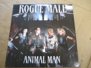 Animal man