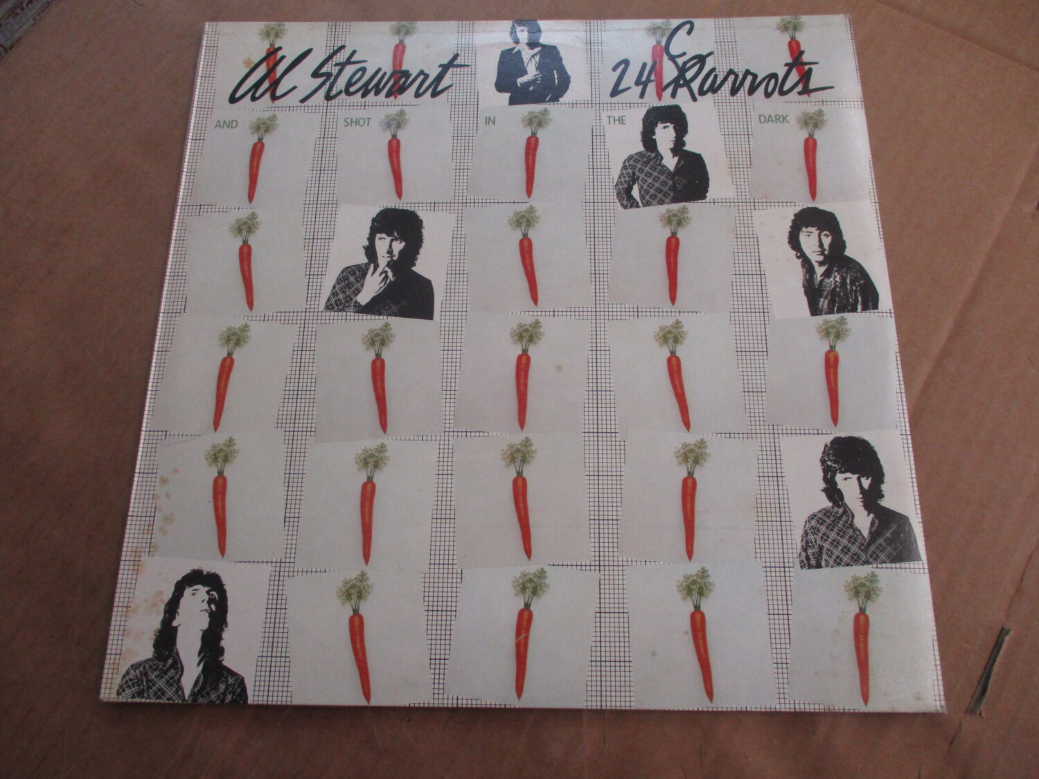 24 carrots (w/innersleeve + insert)