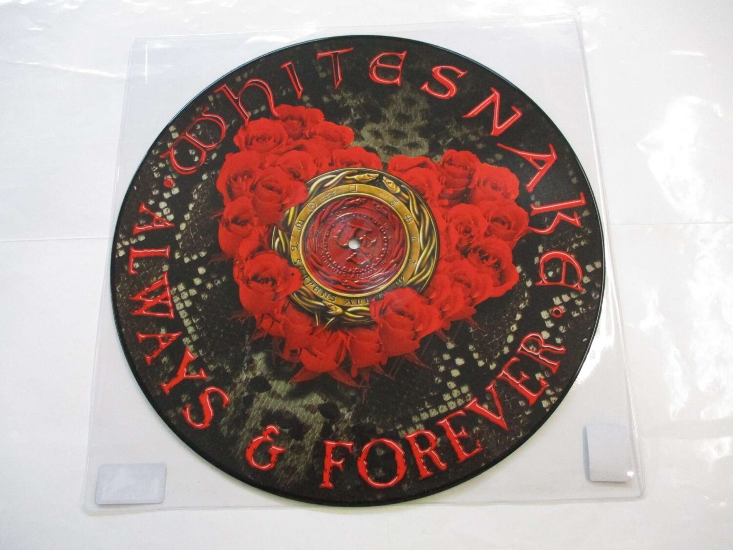Always & forever (12" PDK)