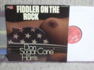 Fiddler on the rock