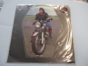 All the Young dudes (7"SHAPED)