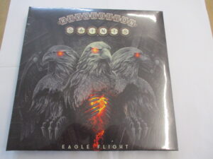 Eagle Flight