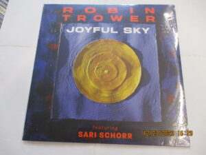 Joyful Sky