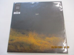 Ghosts (2LP)