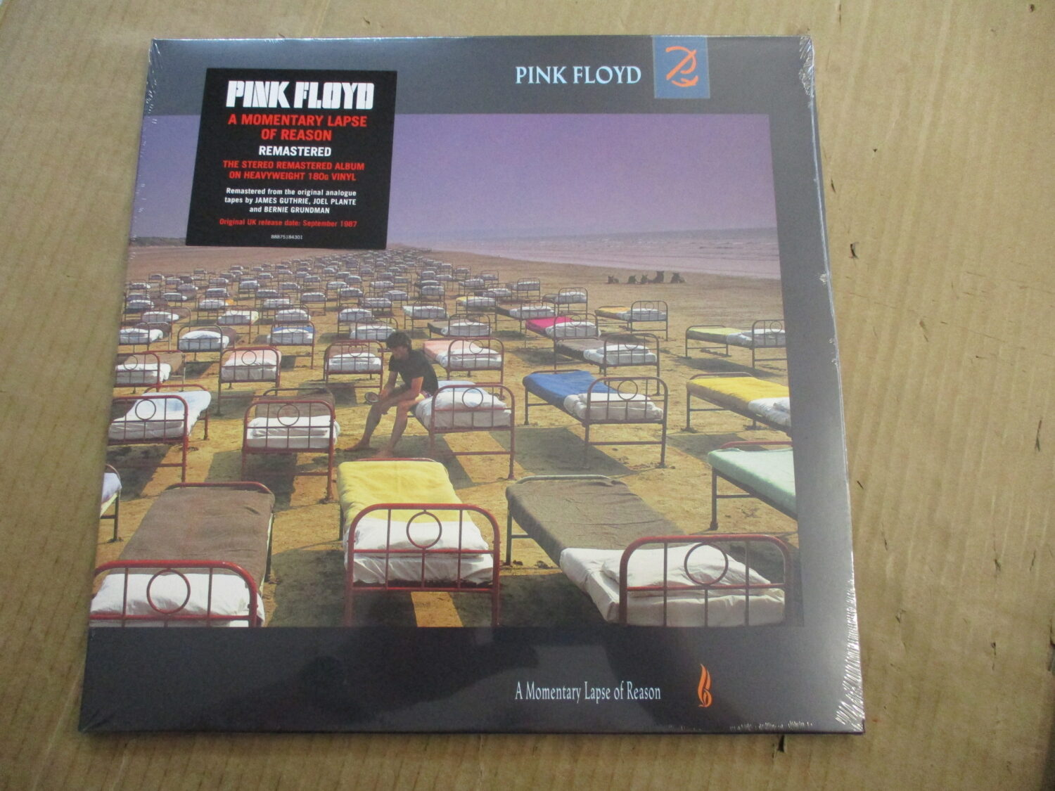 A Momentary Lapse Of Reason (RE)