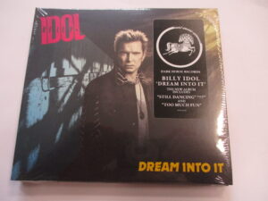 Dream Into It