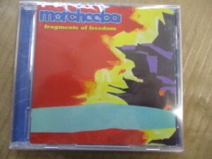 Fragments Of Freedom