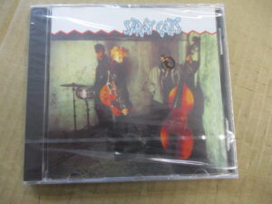 Stray Cats