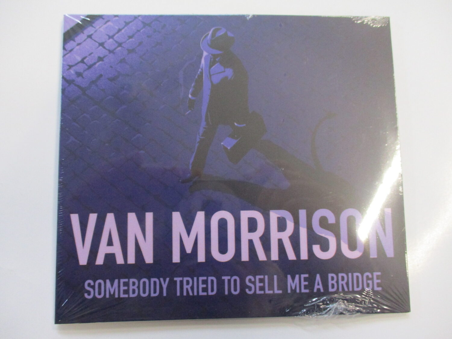 Somebody Tried To Sell Me A Bridge
