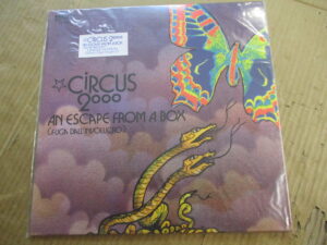 An escape from a box (RE) (Purple vinyl)