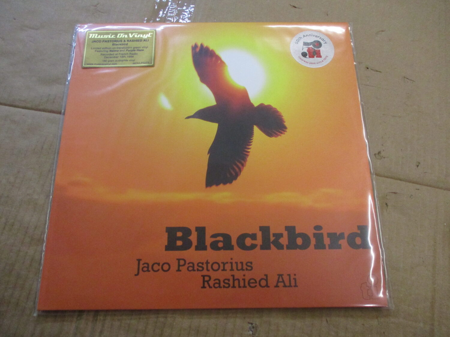 Blackbird (RE)